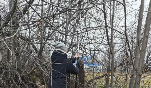 Полевые работы