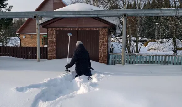 Полевые работы