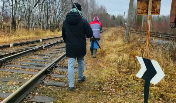 Полевые работы